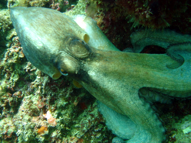 2013-06-12 11-26-47 Steven.jpg